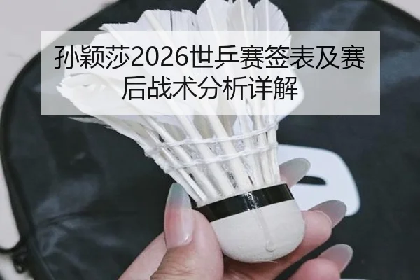 孙颖莎2026世乒赛签表及赛后战术分析详解
